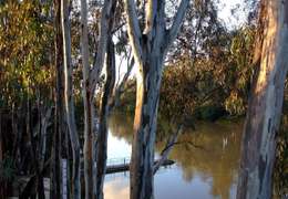 IgluCruise.Application.ViewModels.Shared.WebImageViewModel?.Description