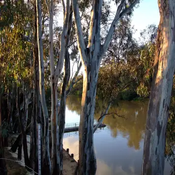 Image related to Zodiac Tours