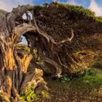 Image related to Puerto de la Estaca, El Hierro