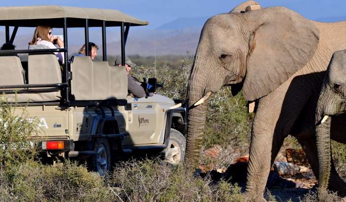 6-Night Thompson's Africa Tour - Cape Town, Stellenbosch & Sanbona