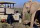 6-Night Thompson's Africa Tour - Cape Town, Stellenbosch & Sanbona