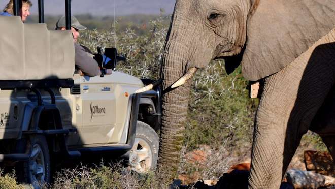 6-Night Thompson's Africa Tour - Cape Town, Stellenbosch & Sanbona