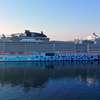 Image related to MSC Euribia