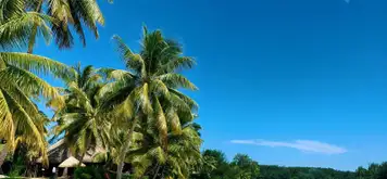 Image related to Taha'a Motu Mahana