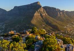 IgluCruise.Application.ViewModels.Shared.WebImageViewModel?.Description