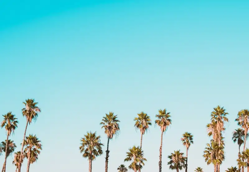 Image related to La Goulette Boardwalk