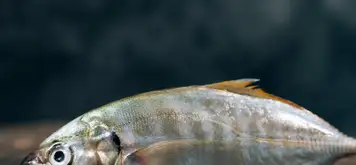 Image related to Westfjord History Museum