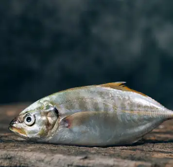 Image related to Image related to Westfjord History Museum