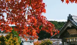 Image related to Yatsushiro
