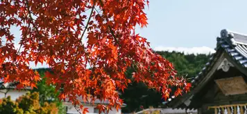 Image related to Yatsushiro