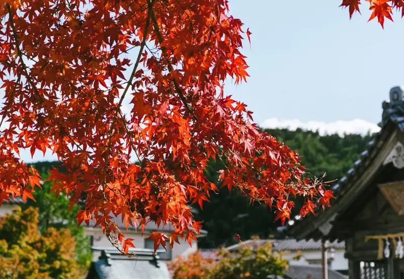 Yatsushiro