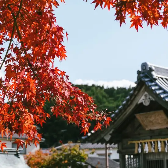 Image related to Yatsushiro