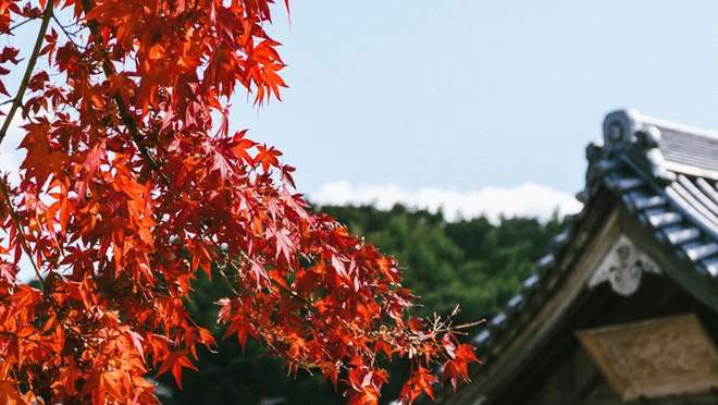 Yatsushiro (Japan)
