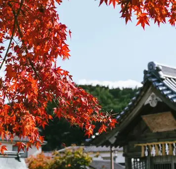 Image related to Yatsushiro