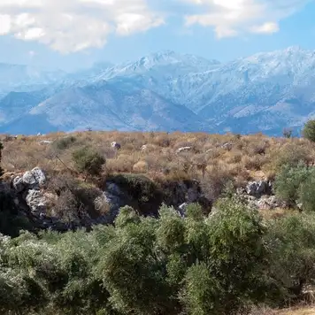 Image related to Souda