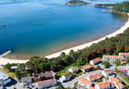 IgluCruise.Application.ViewModels.Shared.WebImageViewModel?.Description