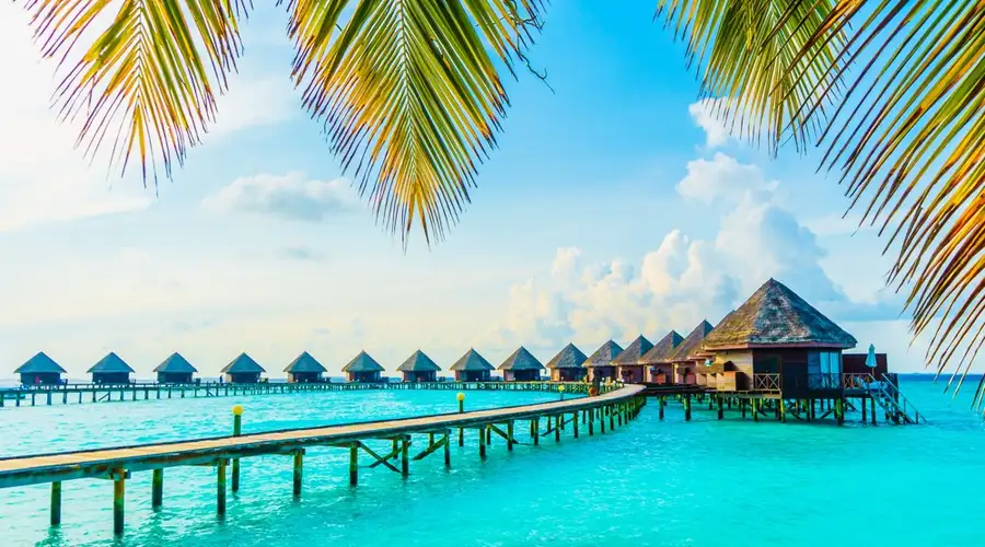 Image related to South East Asia Cruises