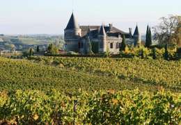 IgluCruise.Application.ViewModels.Shared.WebImageViewModel?.Description