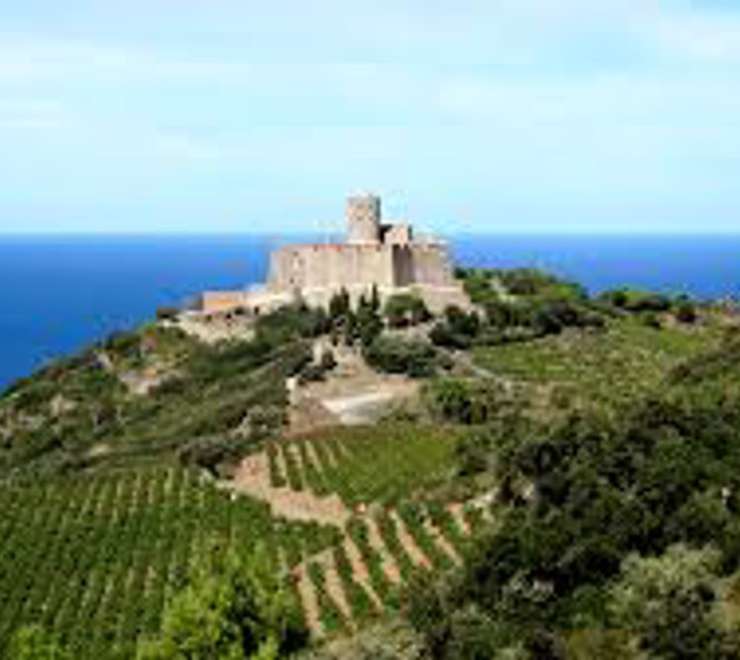Fort Saint-Elme