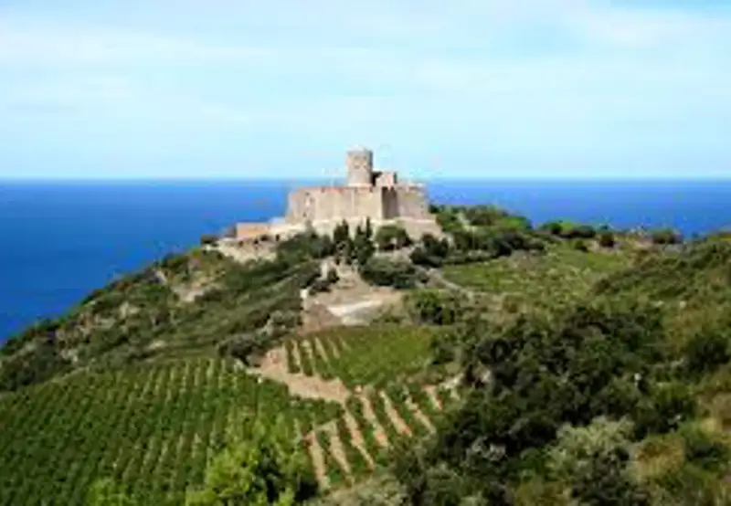 Fort Saint-Elme