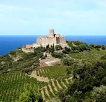 Image related to Fort Saint-Elme
