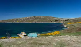Image related to West Point Island, Falkland Islands