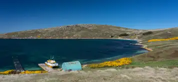 West Point Island, Falkland Islands