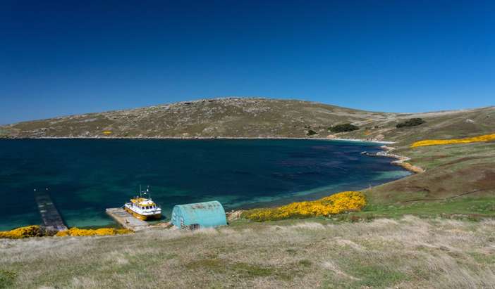 West Point Island, Falkland Islands