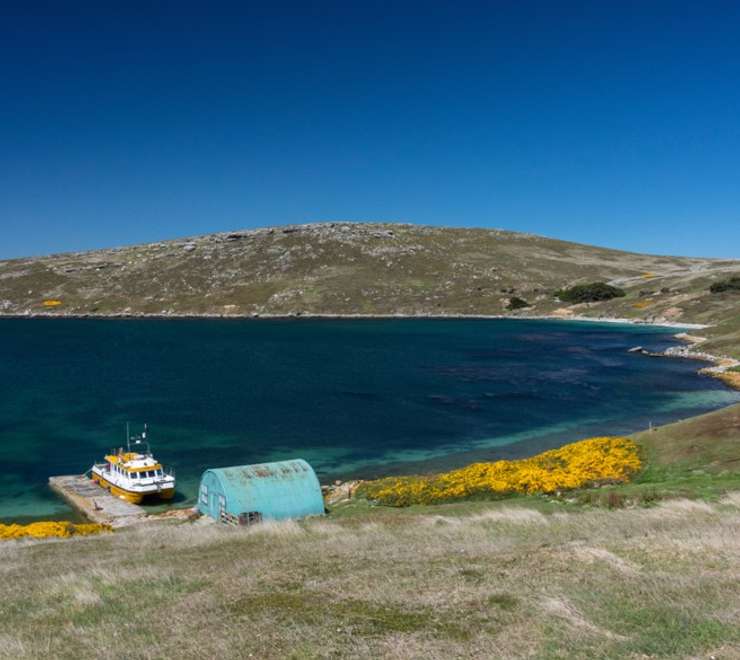 West Point Island, Falkland Islands