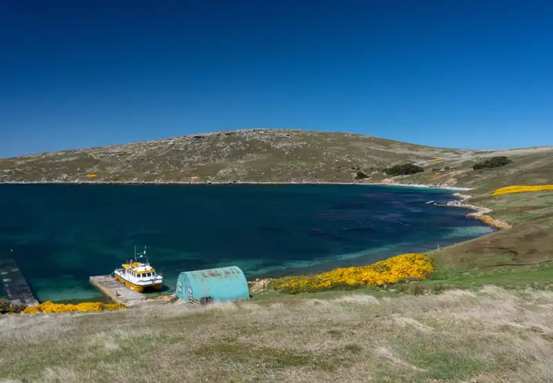 West Point Island, Falkland Islands