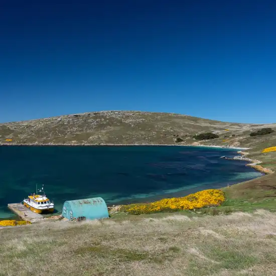 Image related to West Point Island, Falkland Islands