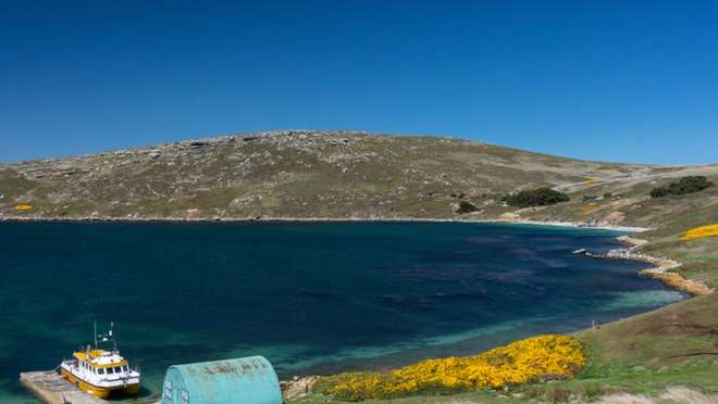 West Point Island, Falkland Islands