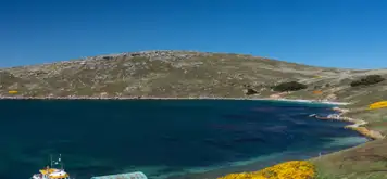 Image related to West Point Island, Falkland Islands