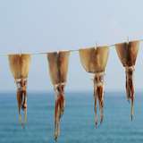 Image related to Yobuko