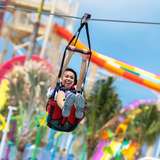 Zip Line