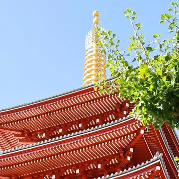 Image related to Tochoji Temple