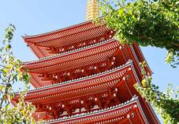 IgluCruise.Application.ViewModels.Shared.WebImageViewModel?.Description