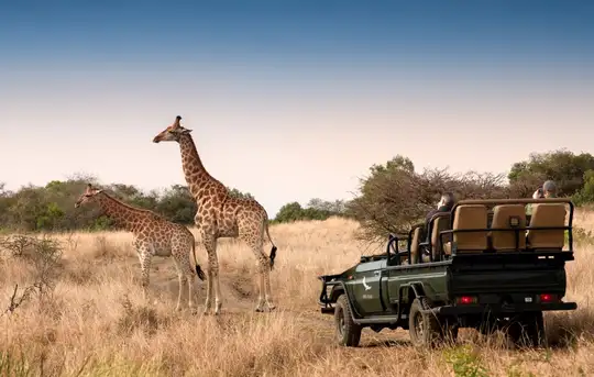 Image related to Phinda Private Game Reserve- Game Drives