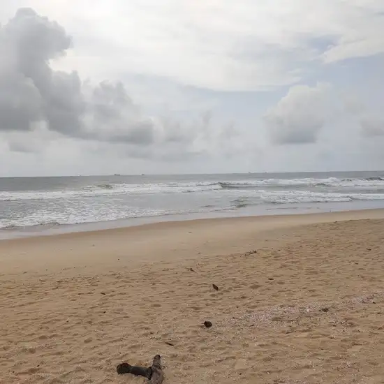 Image related to Panambur Beach