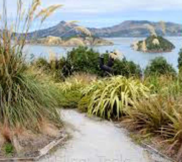 Hotere Garden Oputae