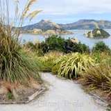 Image related to Hotere Garden Oputae