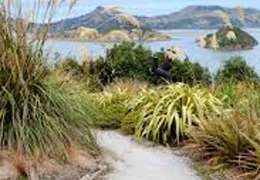 IgluCruise.Application.ViewModels.Shared.WebImageViewModel?.Description