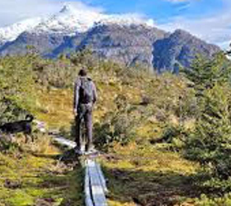 Trekking Cerro Tortel