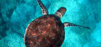 Image related to Wildlife Centre