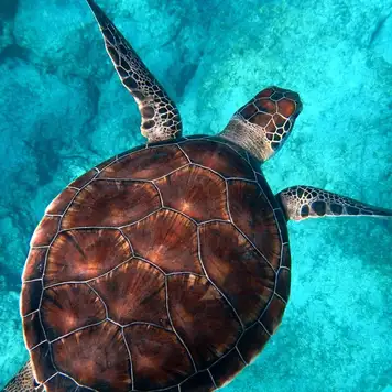 Image related to Wildlife Centre