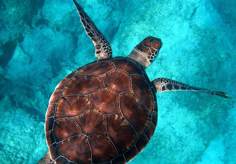 Image related to Wildlife Centre