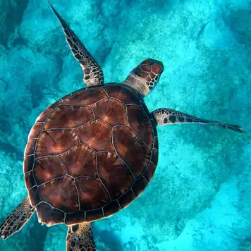 Image related to Wildlife Centre