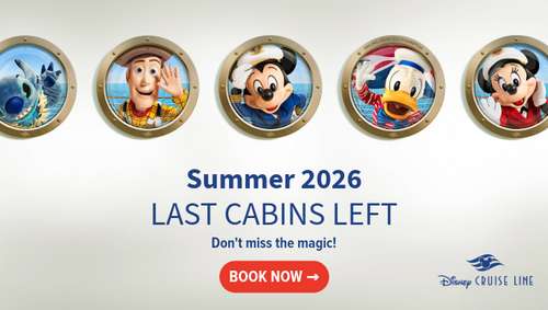 Disney - Iglu - Summer 26 promotional banner