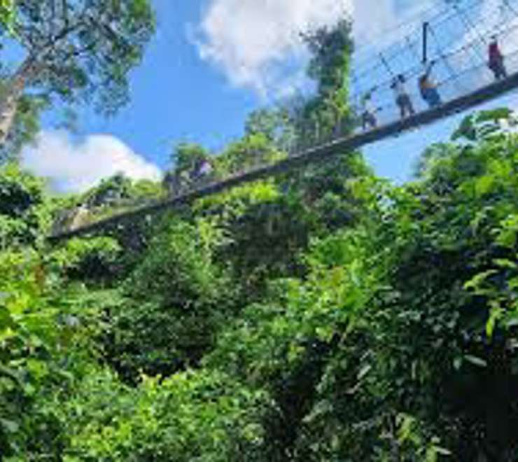 Kakum National Park