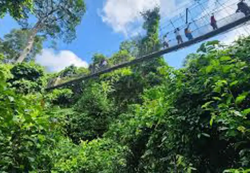 Kakum National Park